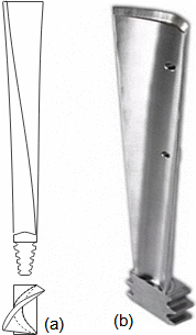 Examples of twisted steam turbine blades